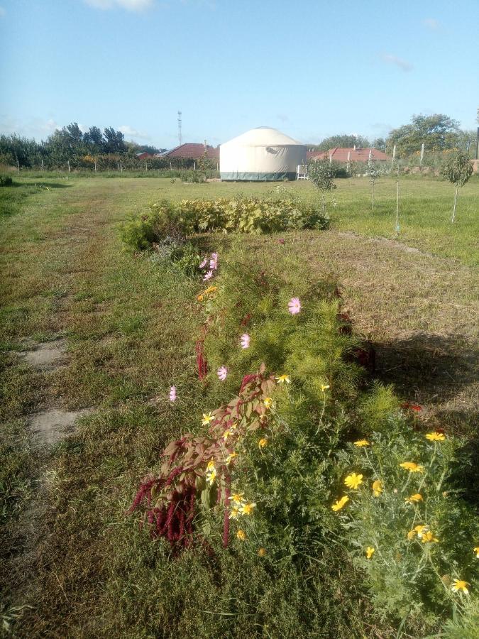 Jurtafarm Rackeve - A Nomad Luxus Hotel Exterior foto
